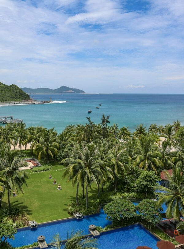 green palm trees near seashore