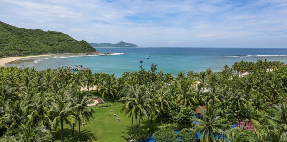 green palm trees near seashore