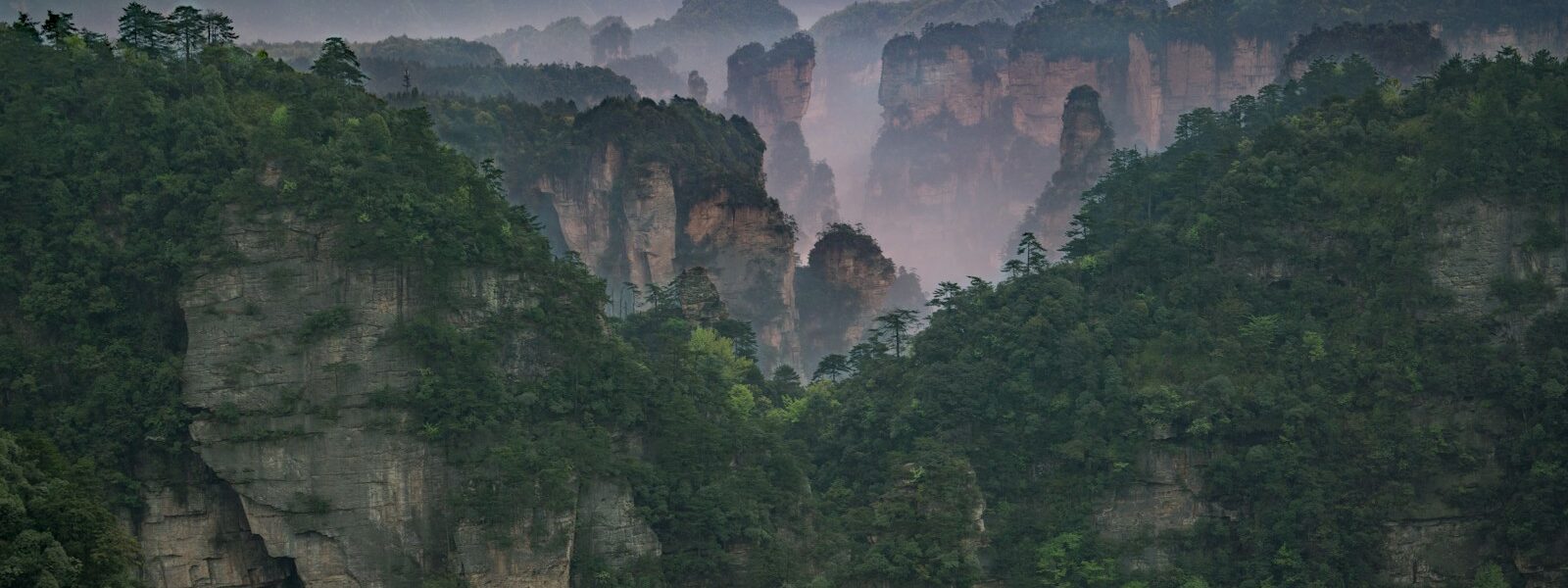 green trees on mountain during daytime