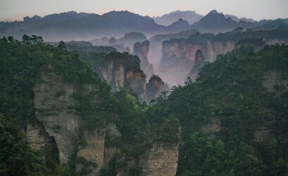 green trees on mountain during daytime