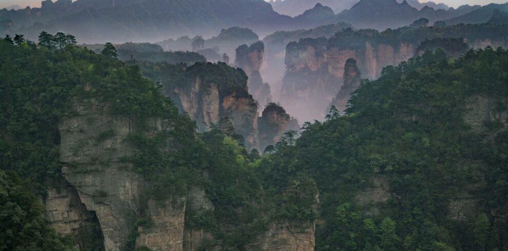 green trees on mountain during daytime